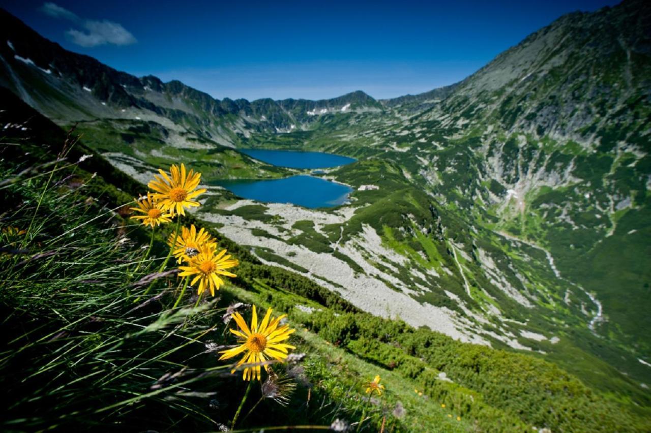 Willa Bachledowka Zakopane Exteriér fotografie