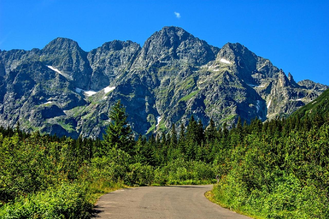 Willa Bachledowka Zakopane Exteriér fotografie